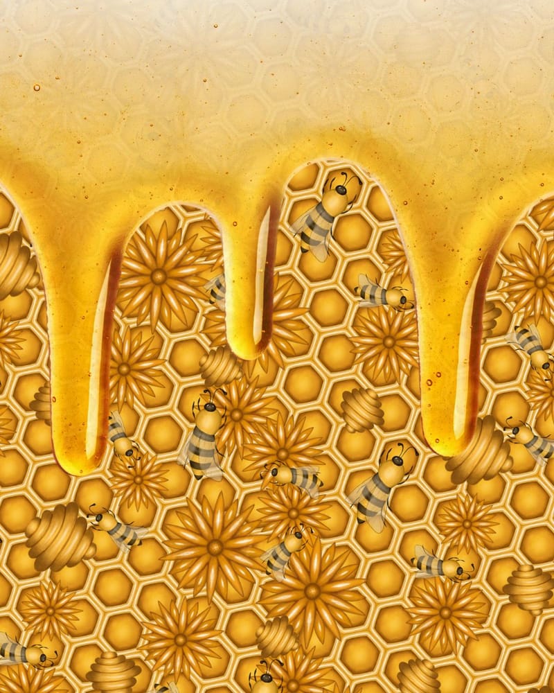 The importance of bees in Islam and their meaning in the Quran